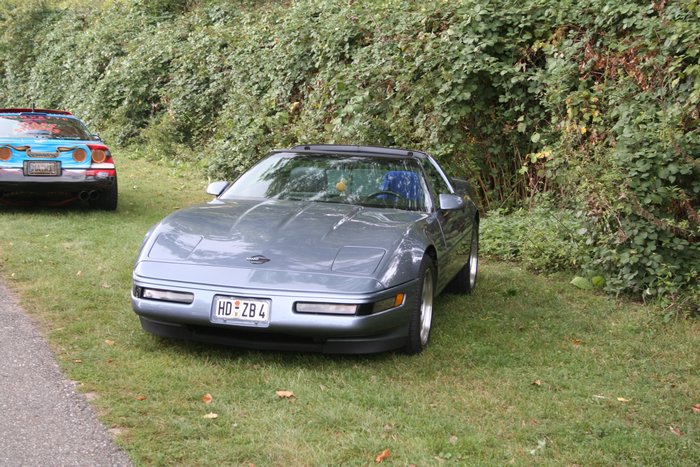 Corvette Sunday 2005 100.jpg