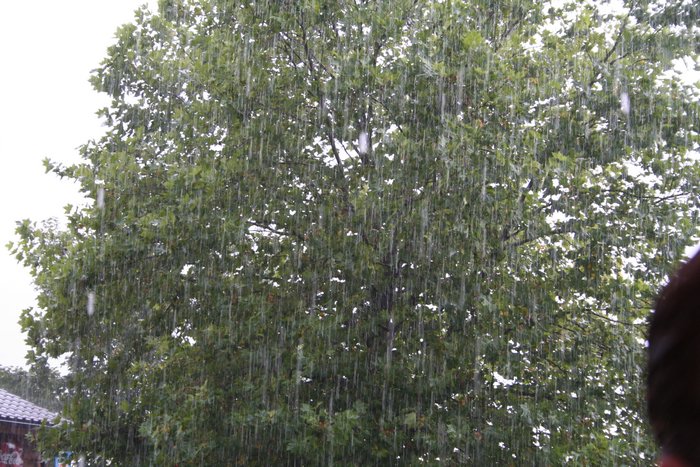 Corvette Sunday 2005 121.jpg